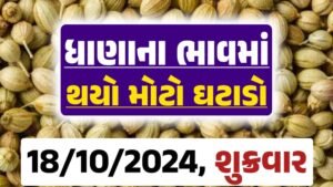 Dhana Price 18-10-2024 આજના ધાણા ના બજાર ભાવ gkmarugujarat.com