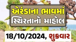 Eranda Price 18-10-2024 આજના એરંડા ના બજાર ભાવ gkmarugujarat.com