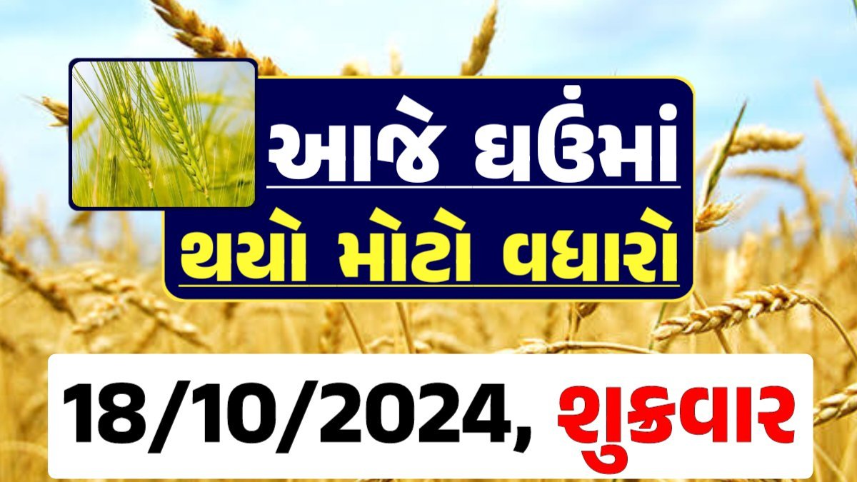 Ghau Price 18-10-2024 આજના લોકવન અને ટુકડા ઘઉં ના બજાર ભાવ gkmarugujarat.com