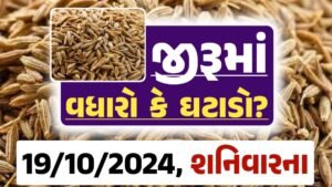 jiru Price 19-10-2024 આજના જીરૂ ના બજાર ભાવ gkmarugujarat.com