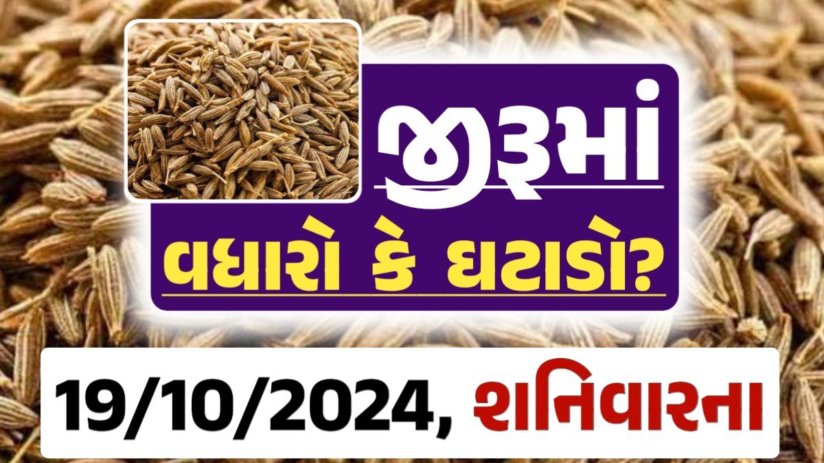 jiru Price 19-10-2024 આજના જીરૂ ના બજાર ભાવ gkmarugujarat.com