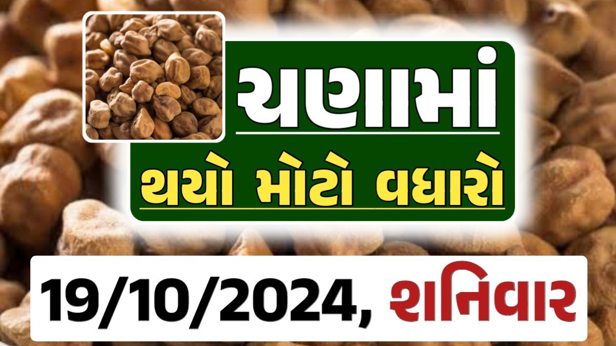 Chana Price 19-10-2024 આજના ચણા ના બજાર ભાવ gkmarugujarat.com