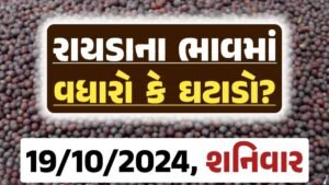 Rayda Price 19-10-2024 આજના રાયડા ના બજાર ભાવ gkmarugujarat.com