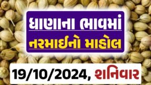 Dhana Price 19-10-2024 આજના ધાણા ના બજાર ભાવ gkmarugujarat.com