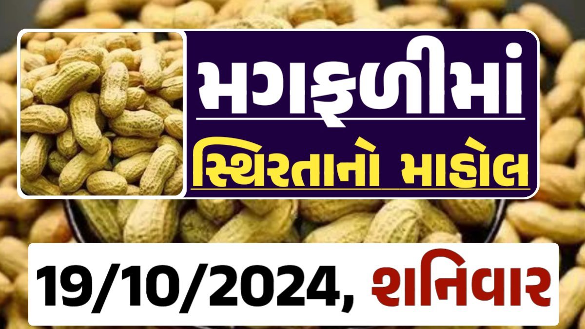 મગફળી ના બજારભાવ - Today Magfali Price 19-10-2024 જાડી મગફળીના આજના બજાર ભાવ અને જીણી મગફળી ના આજના બજાર ઉંચો ભાવ