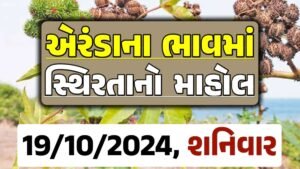 Eranda Price 19-10-2024 આજના એરંડા ના બજાર ભાવ gkmarugujarat.com