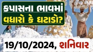 Cotton Price 19-10-2024 કપાસ બજાર ભાવ gkmarugujarat.com