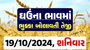 Ghau Price 19-10-2024 આજના લોકવન અને ટુકડા ઘઉં ના બજાર ભાવ gkmarugujarat.com