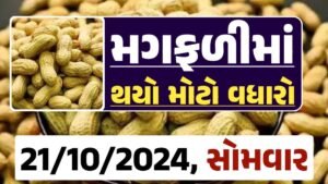 મગફળી ના બજારભાવ - Today Magfali Price 21-10-2024 જાડી મગફળીના આજના બજાર ભાવ અને જીણી મગફળી ના આજના બજાર ઉંચો ભાવ