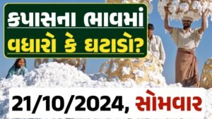 Cotton Price 21-10-2024 કપાસ બજાર ભાવ gkmarugujarat.com