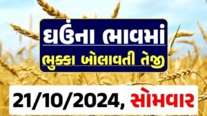 Ghau Price 21-10-2024 આજના લોકવન અને ટુકડા ઘઉં ના બજાર ભાવ gkmarugujarat.com