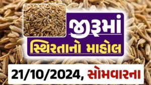 jiru Price 21-10-2024 આજના જીરૂ ના બજાર ભાવ gkmarugujarat.com