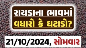 Rayda Price 21-10-2024 આજના રાયડા ના બજાર ભાવ gkmarugujarat.com