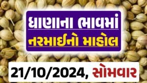 Dhana Price 21-10-2024 આજના ધાણા ના બજાર ભાવ gkmarugujarat.com