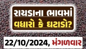 Rayda Price 22-10-2024 આજના રાયડા ના બજાર ભાવ gkmarugujarat.com