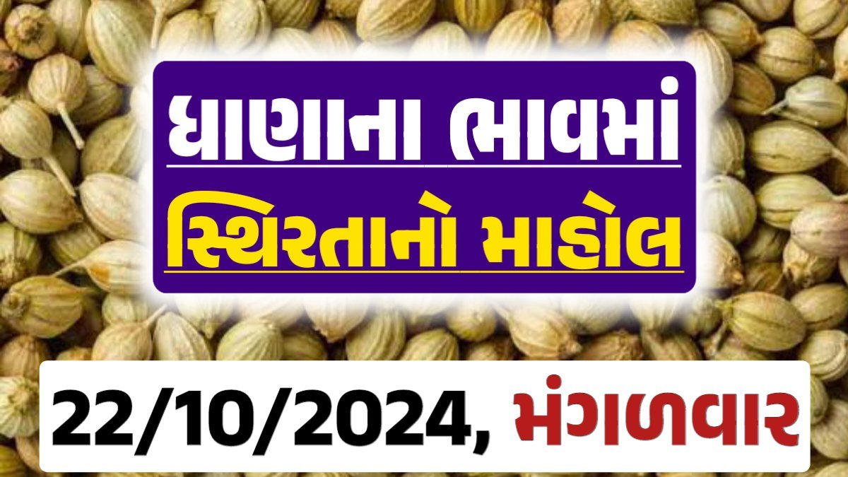 Dhana Price 22-10-2024 આજના ધાણા ના બજાર ભાવ gkmarugujarat.com