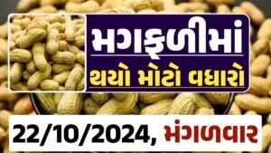 મગફળી ના બજારભાવ - Today Magfali Price 22-10-2024 જાડી મગફળીના આજના બજાર ભાવ અને જીણી મગફળી ના આજના બજાર ઉંચો ભાવ