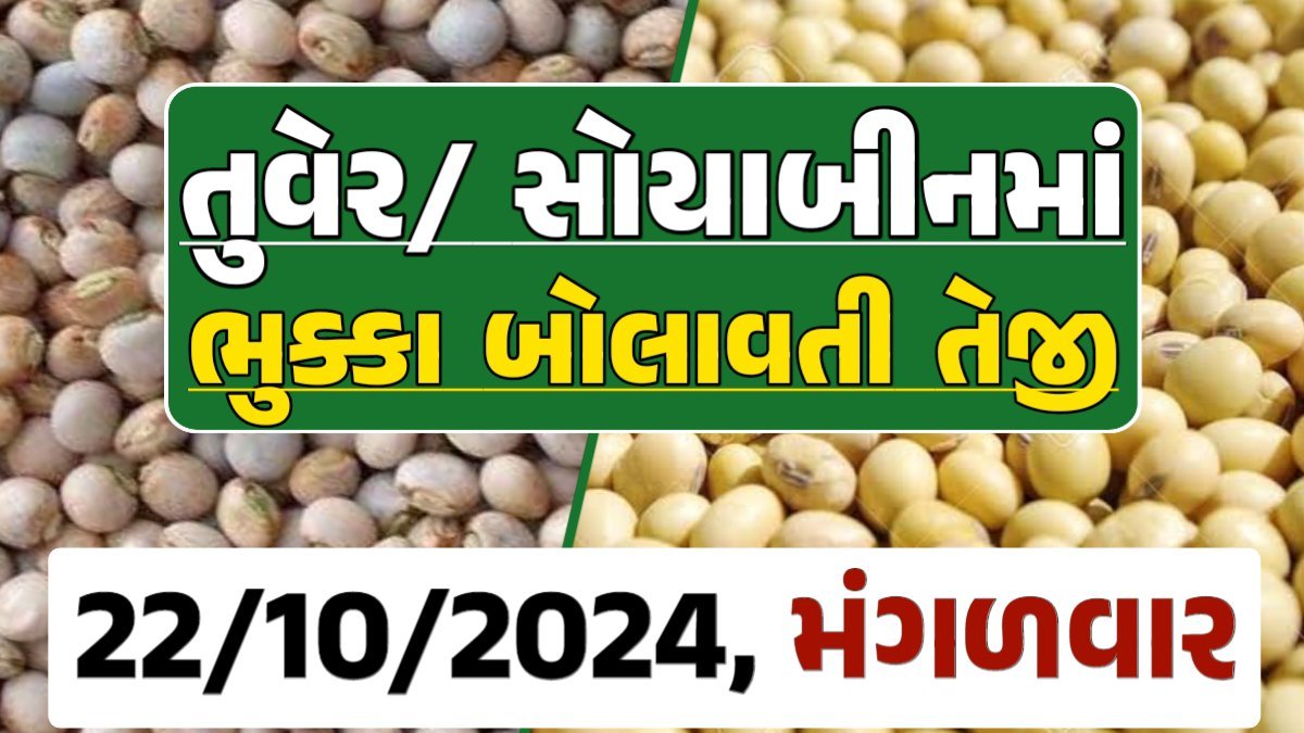 Turmeric And Soybeans Price 21-10-2024 તુવેર સોયાબીન ના બજાર ભાવ gkmarugujarat.com