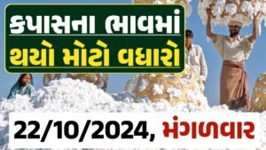 Cotton Price 22-10-2024 કપાસ બજાર ભાવ gkmarugujarat.com