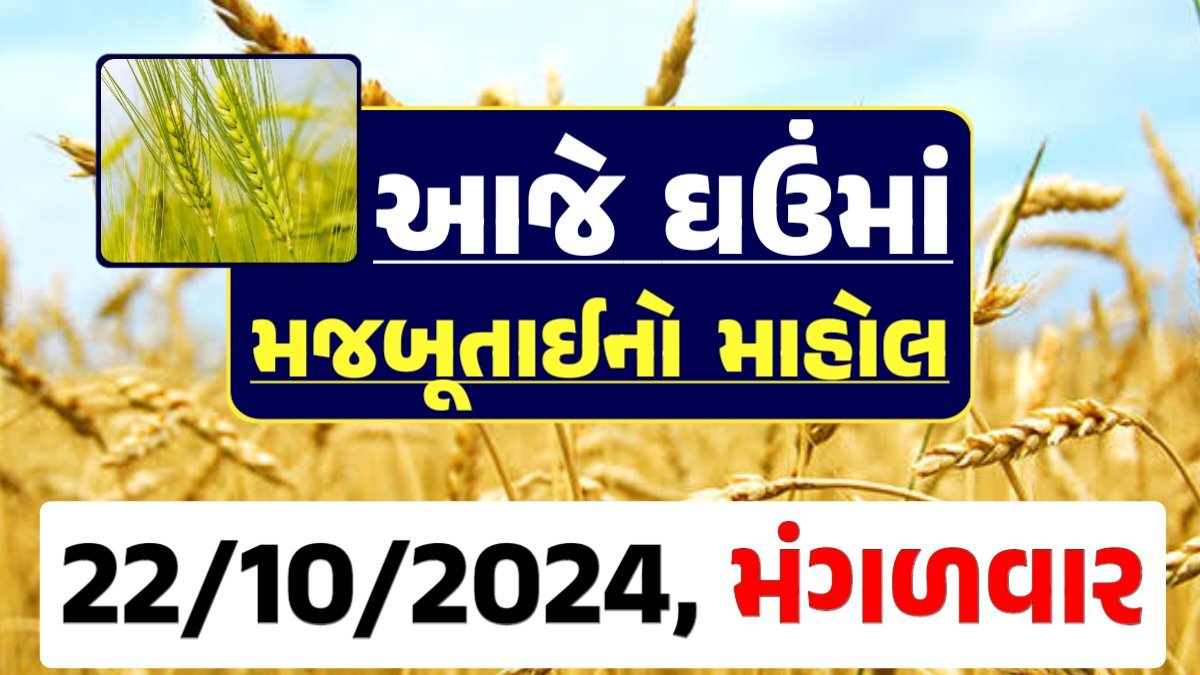 Ghau Price 21-10-2024 આજના લોકવન અને ટુકડા ઘઉં ના બજાર ભાવ gkmarugujarat.com