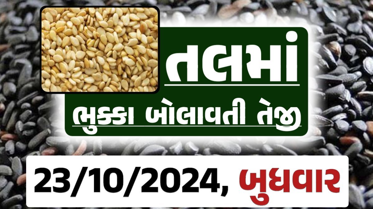 Tal price 23-10-2024 આજના સફેદ અને કાળા તલ ના બજાર ભાવ Gkmarugujarat.com