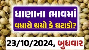 Dhana Price 23-10-2024 આજના ધાણા ના બજાર ભાવ gkmarugujarat.com