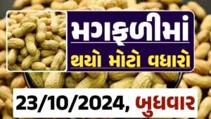 મગફળી ના બજારભાવ - Today Magfali Price 23-10-2024 જાડી મગફળીના આજના બજાર ભાવ અને જીણી મગફળી ના આજના બજાર ઉંચો ભાવ