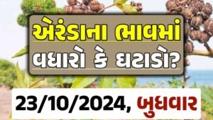 Eranda Price 23-10-2024 આજના એરંડા ના બજાર ભાવ gkmarugujarat.com