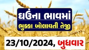 Ghau Price 23-10-2024 આજના લોકવન અને ટુકડા ઘઉં ના બજાર ભાવ gkmarugujarat.com