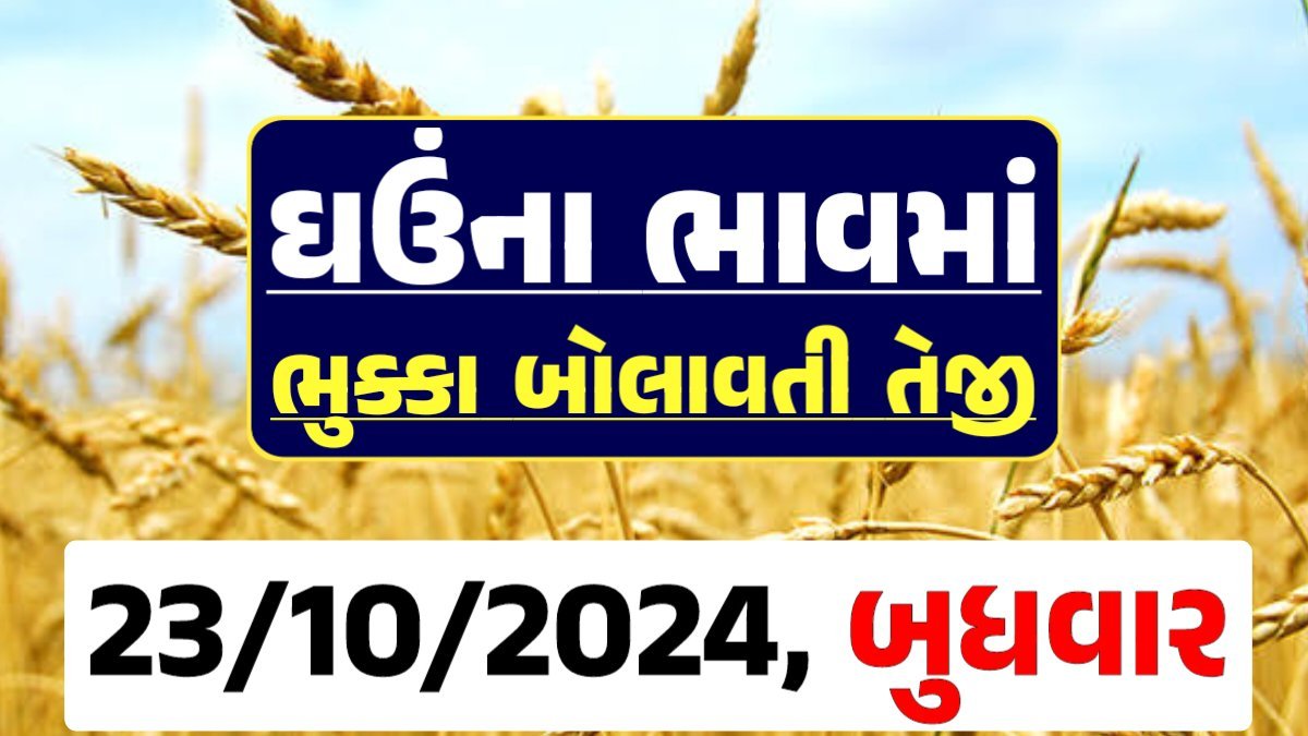 Ghau Price 23-10-2024 આજના લોકવન અને ટુકડા ઘઉં ના બજાર ભાવ gkmarugujarat.com