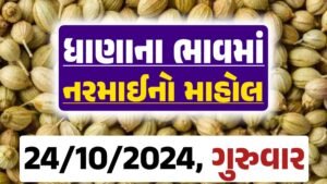 Dhana Price 24-10-2024 આજના ધાણા ના બજાર ભાવ gkmarugujarat.com