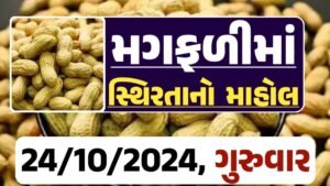 મગફળી ના બજારભાવ - Today Magfali Price 24-10-2024 જાડી મગફળીના આજના બજાર ભાવ અને જીણી મગફળી ના આજના બજાર ઉંચો ભાવ