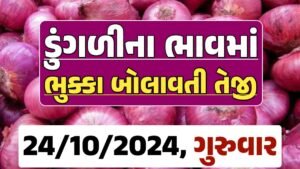 Onion Price 24-10-2024 લાલ અને સફેદ ડુંગળી ના બજાર ભાવ Gkmarugujarat.com