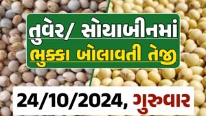 Turmeric And Soybeans Price 24-10-2024 તુવેર સોયાબીન ના બજાર ભાવ gkmarugujarat.com