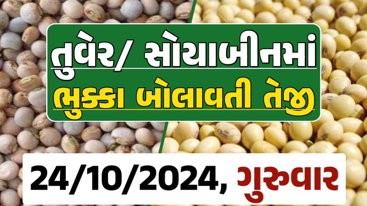 Turmeric And Soybeans Price 24-10-2024 તુવેર સોયાબીન ના બજાર ભાવ gkmarugujarat.com