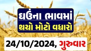 Ghau Price 24-10-2024 આજના લોકવન અને ટુકડા ઘઉં ના બજાર ભાવ gkmarugujarat.com