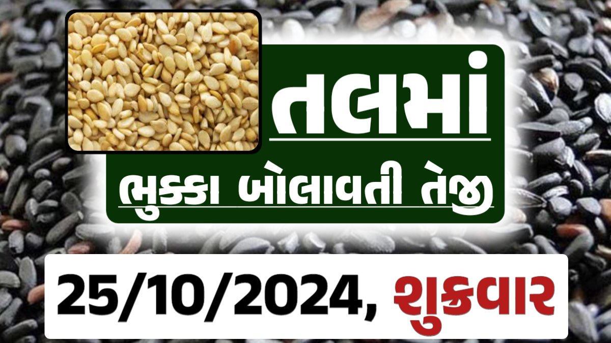 Tal price 25-10-2024 આજના સફેદ અને કાળા તલ ના બજાર ભાવ Gkmarugujarat.com