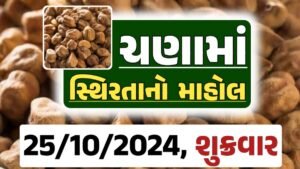 Chana Price 25-10-2024 આજના ચણા ના બજાર ભાવ gkmarugujarat.com