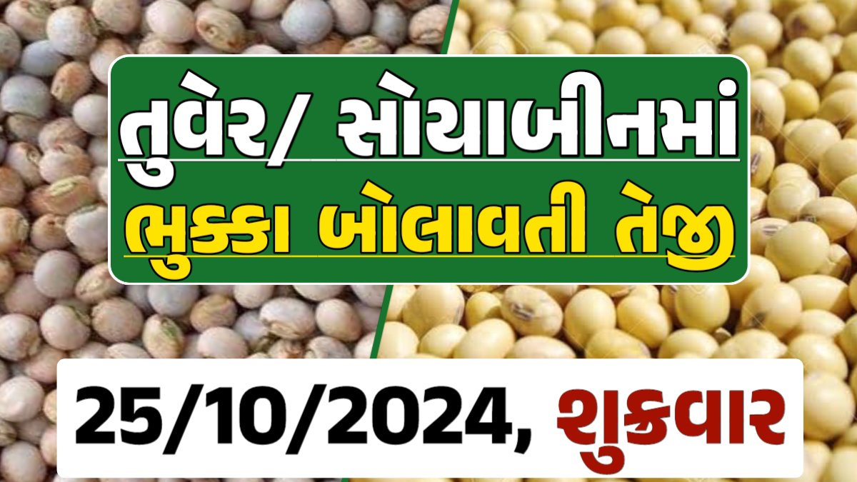 Turmeric And Soybeans Price 25-10-2024 તુવેર સોયાબીન ના બજાર ભાવ gkmarugujarat.com