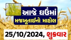 Ghau Price 25-10-2024 આજના લોકવન અને ટુકડા ઘઉં ના બજાર ભાવ gkmarugujarat.com