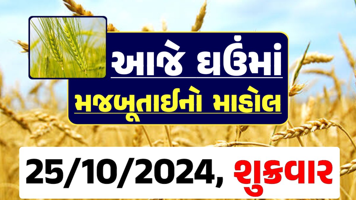 Ghau Price 25-10-2024 આજના લોકવન અને ટુકડા ઘઉં ના બજાર ભાવ gkmarugujarat.com