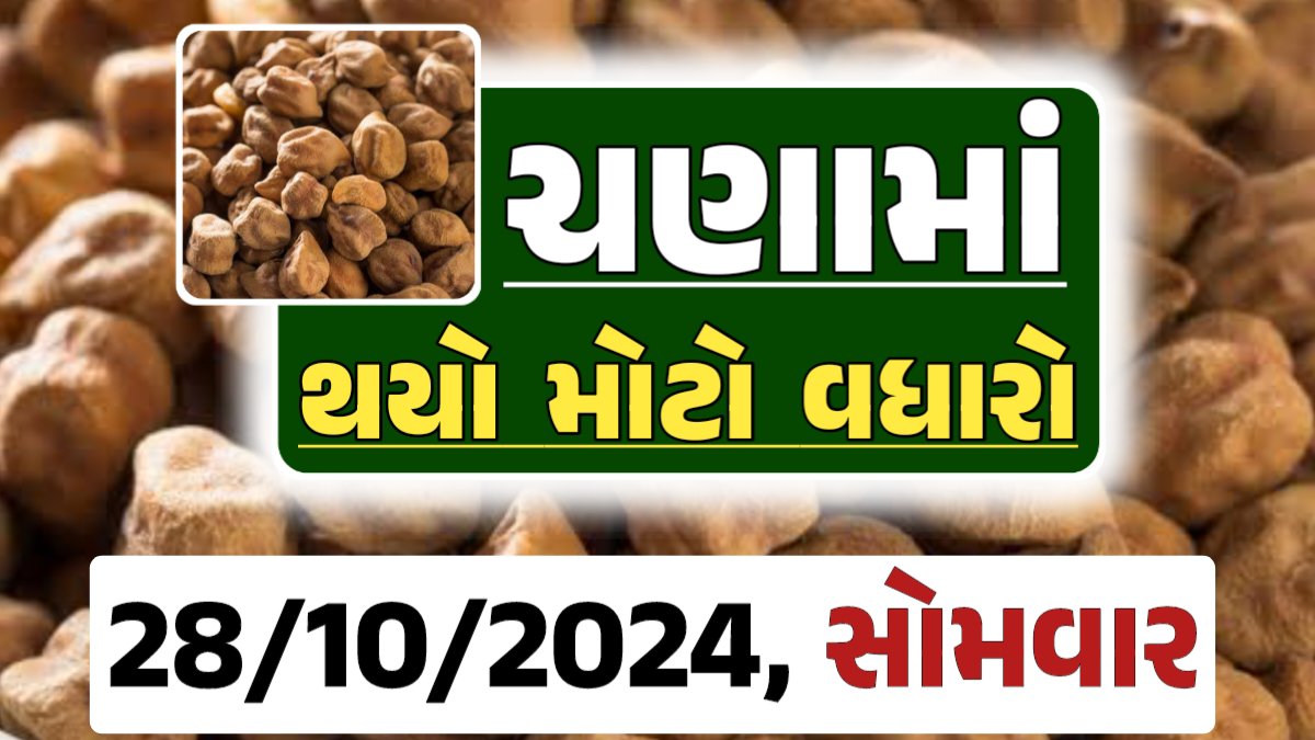 Chana Price 28-10-2024 આજના ચણા ના બજાર ભાવ gkmarugujarat.com