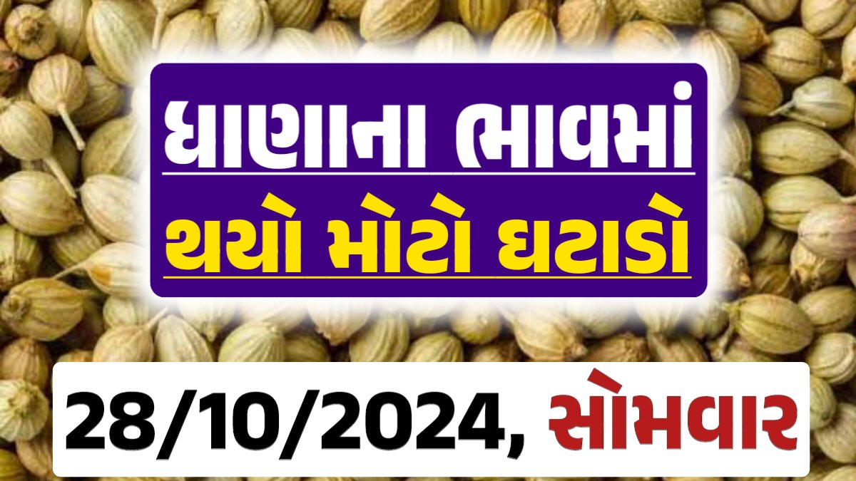 Dhana Price 28-10-2024 આજના ધાણા ના બજાર ભાવ gkmarugujarat.com