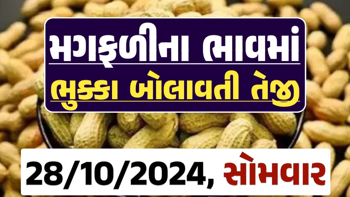 મગફળી ના બજારભાવ - Today Magfali Price 28-10-2024 જાડી મગફળીના આજના બજાર ભાવ અને જીણી મગફળી ના આજના બજાર ઉંચો ભાવ