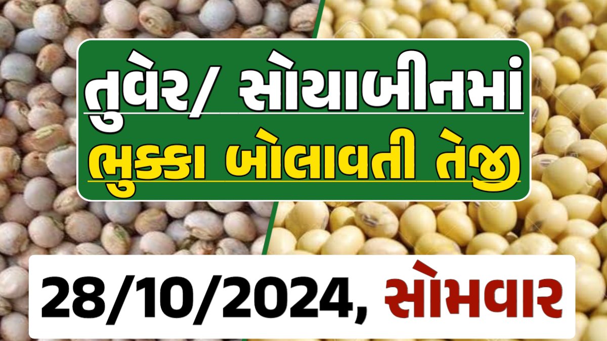 Turmeric And Soybeans Price 28-10-2024 તુવેર સોયાબીન ના બજાર ભાવ gkmarugujarat.com