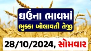 Ghau Price 28-10-2024 આજના લોકવન અને ટુકડા ઘઉં ના બજાર ભાવ gkmarugujarat.com