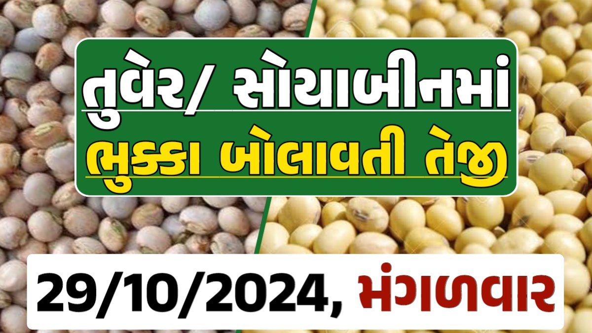 Turmeric And Soybeans Price 29-10-2024 તુવેર સોયાબીન ના બજાર ભાવ gkmarugujarat.com