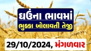 Ghau Price 29-10-2024 આજના લોકવન અને ટુકડા ઘઉં ના બજાર ભાવ gkmarugujarat.com