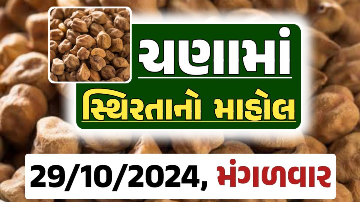 Chana Price 29-10-2024 આજના ચણા ના બજાર ભાવ gkmarugujarat.com