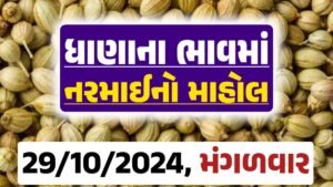 Dhana Price 29-10-2024 આજના ધાણા ના બજાર ભાવ gkmarugujarat.com